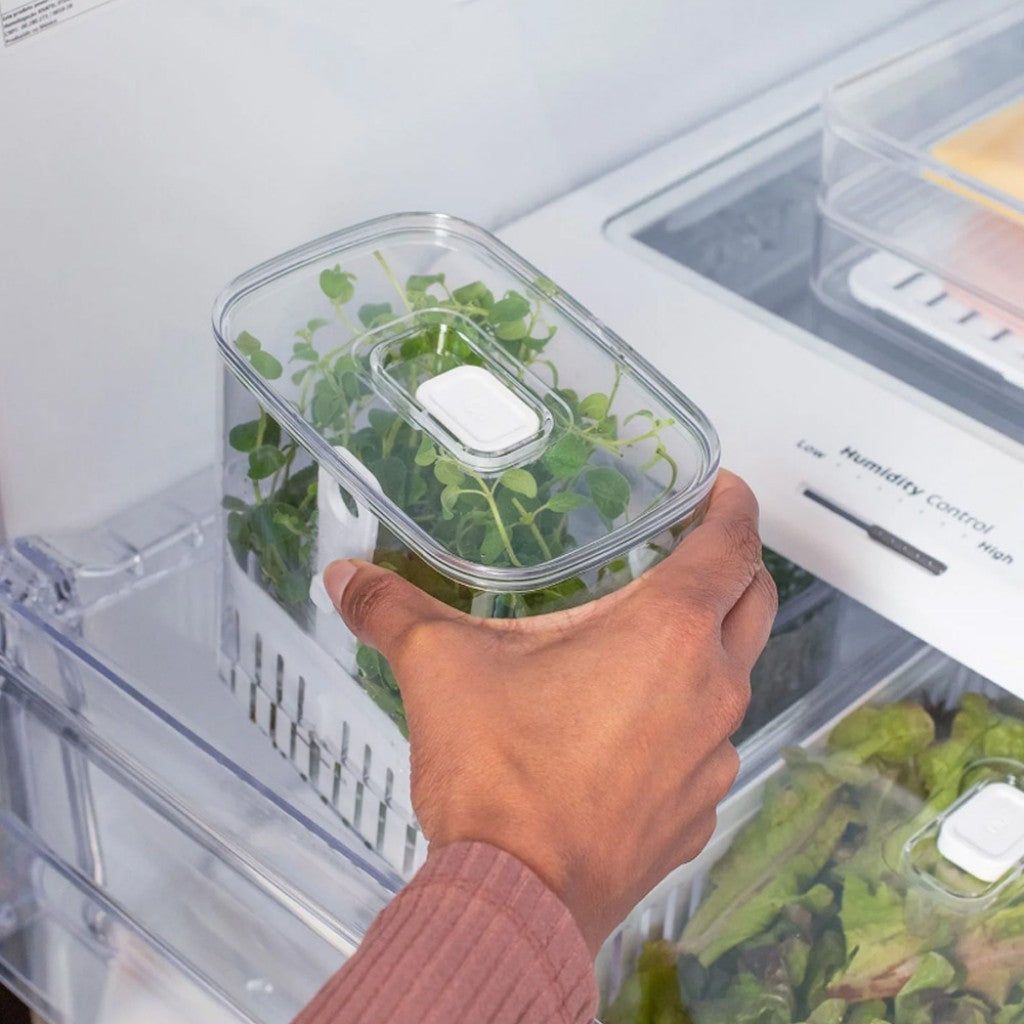 Organizador Clear Fresh 1,5L