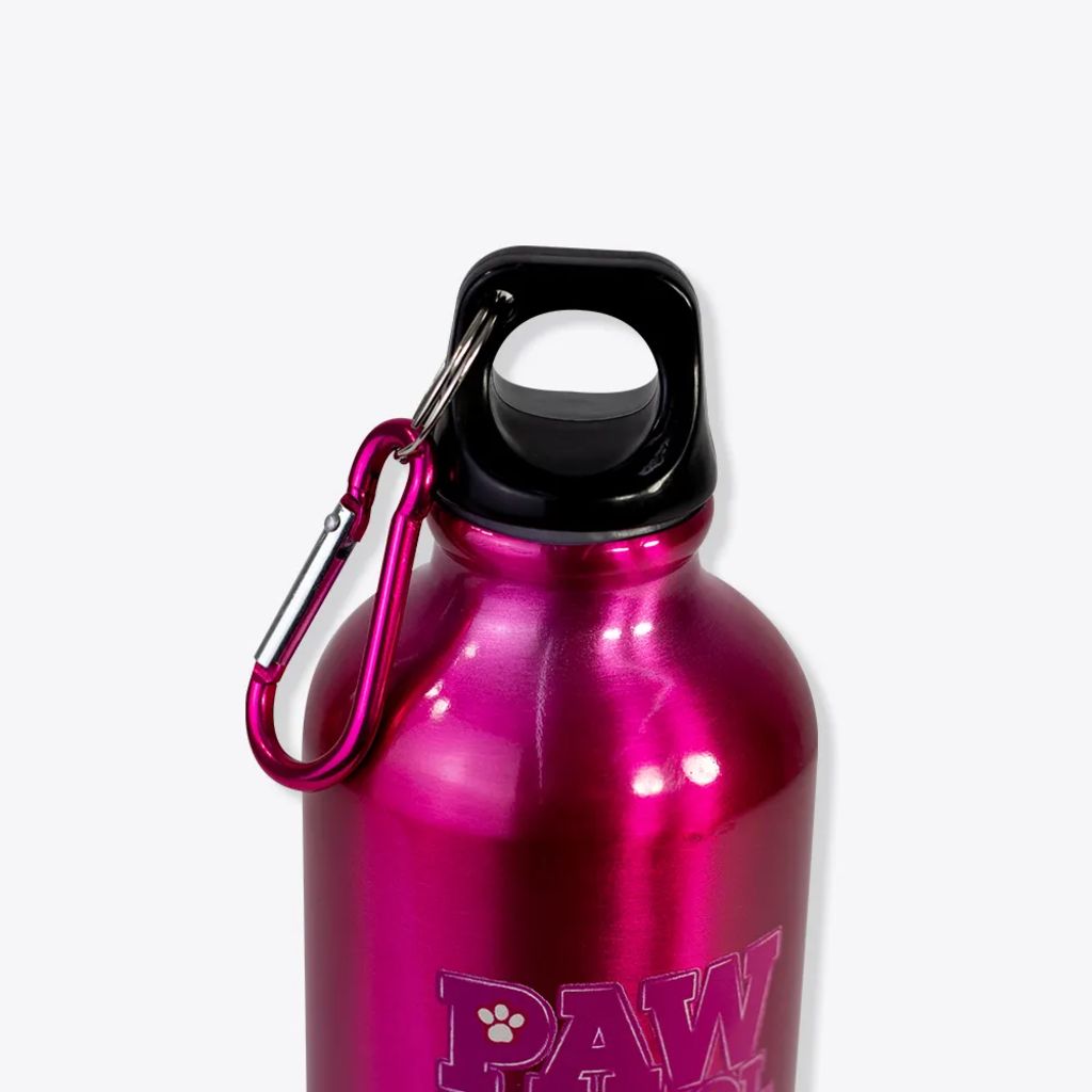 Garrafa de Alumínio Rosa com Mosquetão Patrulha Canina 500ml Zona Criativa