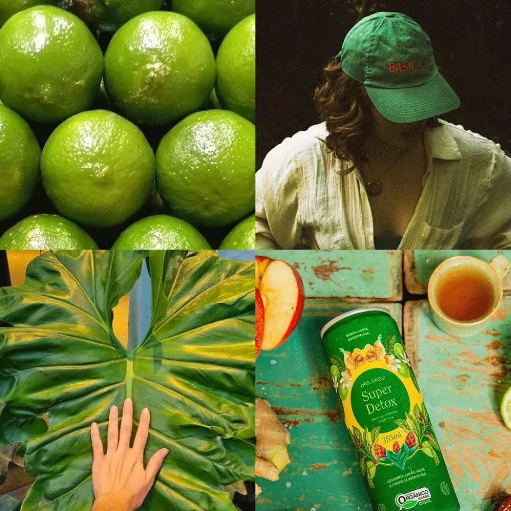 Chá Gelado Super Puro Detox 269ml Iamani