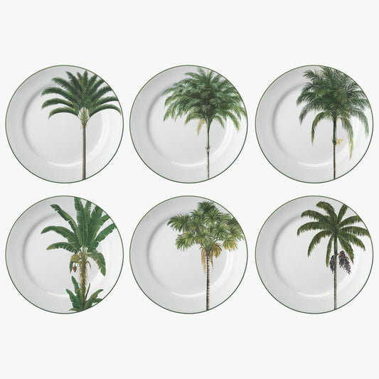 Conjunto de 6 Pratos Rasos de Porcelana Palmeira 27cm Schmidt
