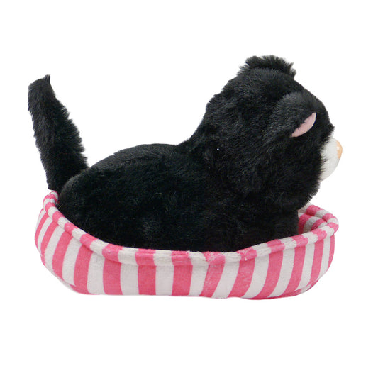 Gato na Cama de Pelucia Cores Sortidas