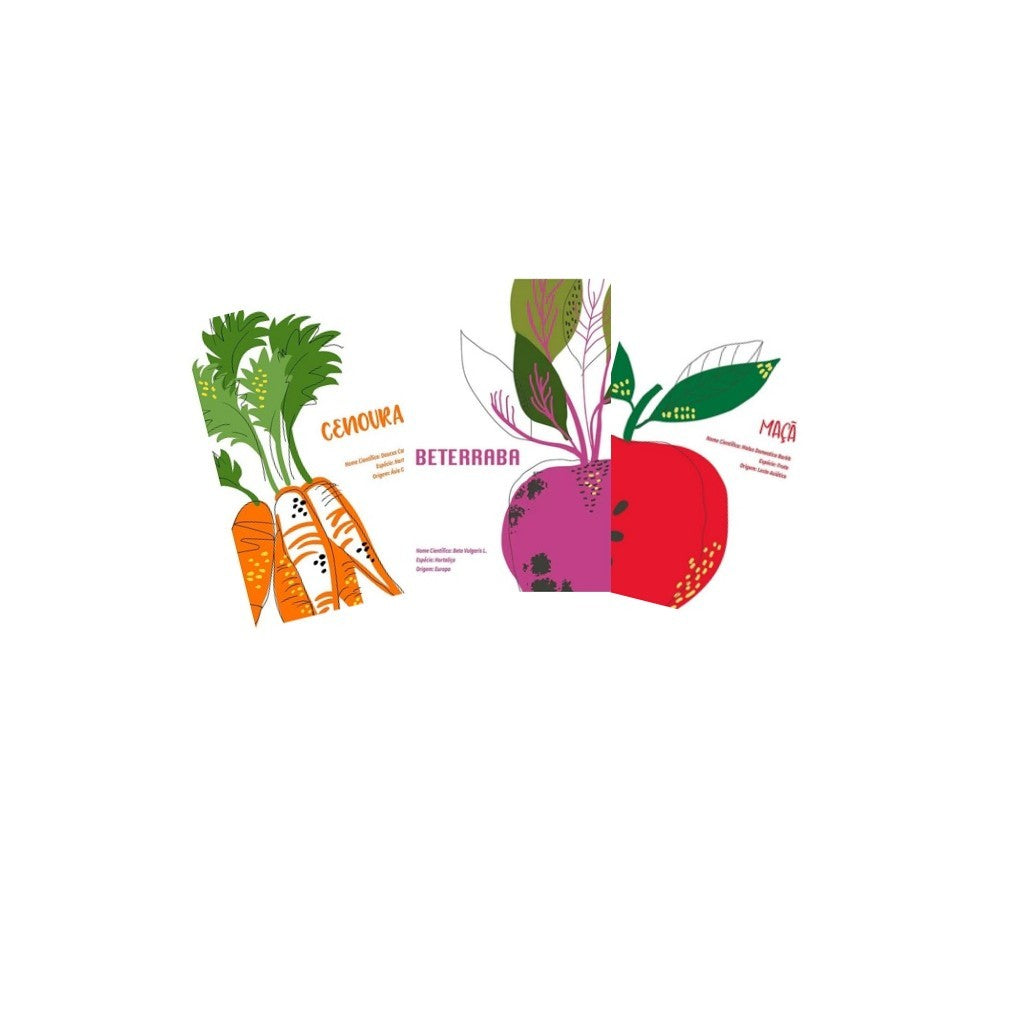 Pano de Copa Astro Cores Sortidas 40x60cm Camesa