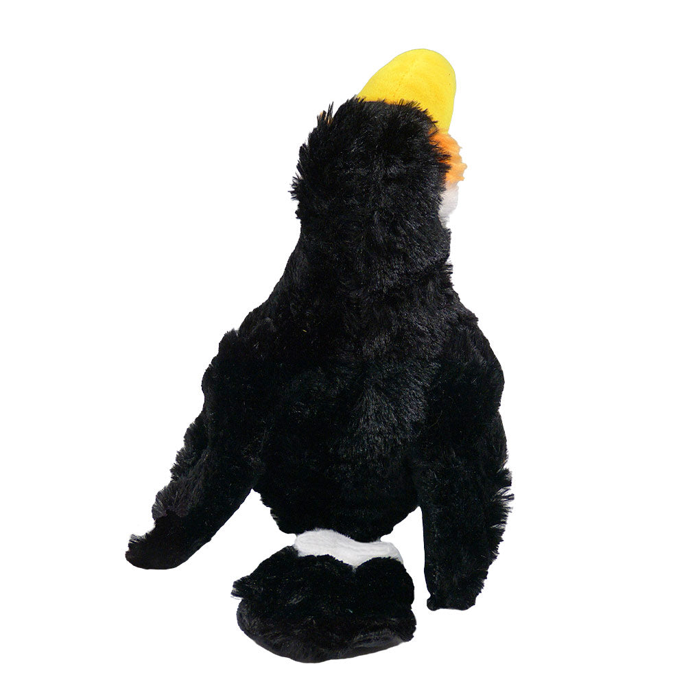 Tucano Realista de Pelucia 30cm