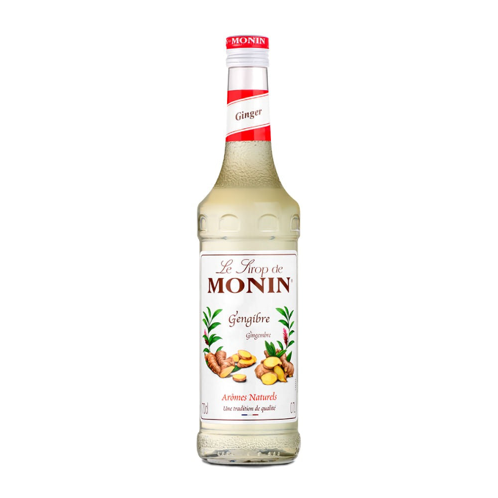 Xarope de Gengibre 250ml Monin