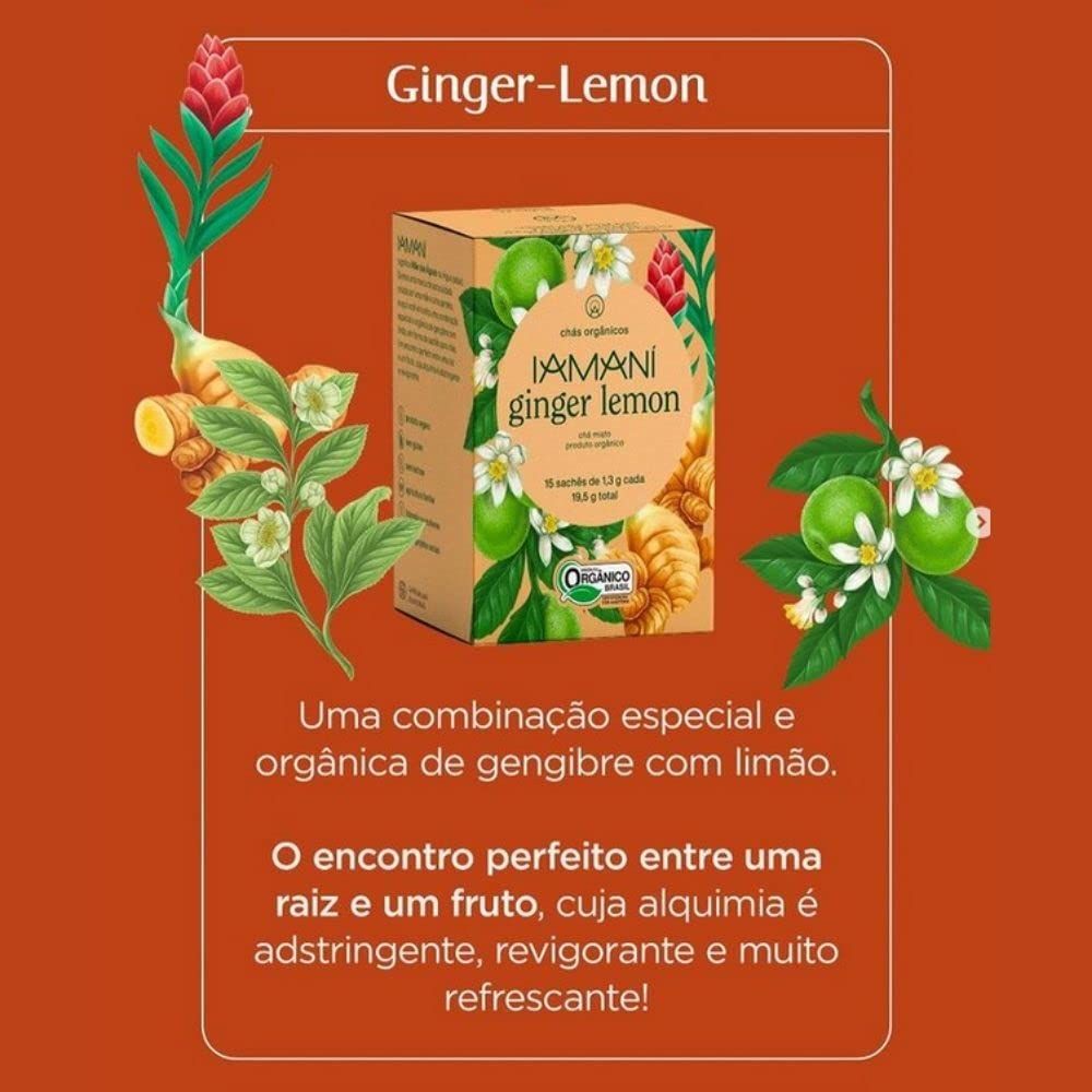 Cha Organico Ginger Lemon 22g