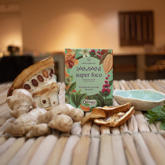 Cha Organico Super Foco 22g
