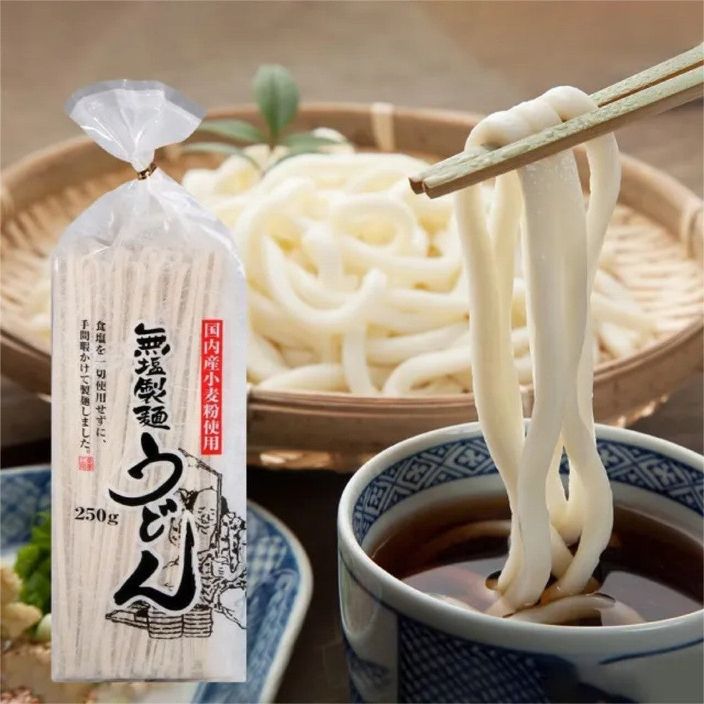 Macarrão Japonês Udon 250g Aoi