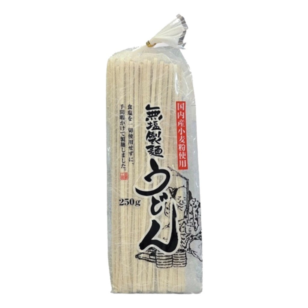 Macarrão Japonês Udon 250g Aoi