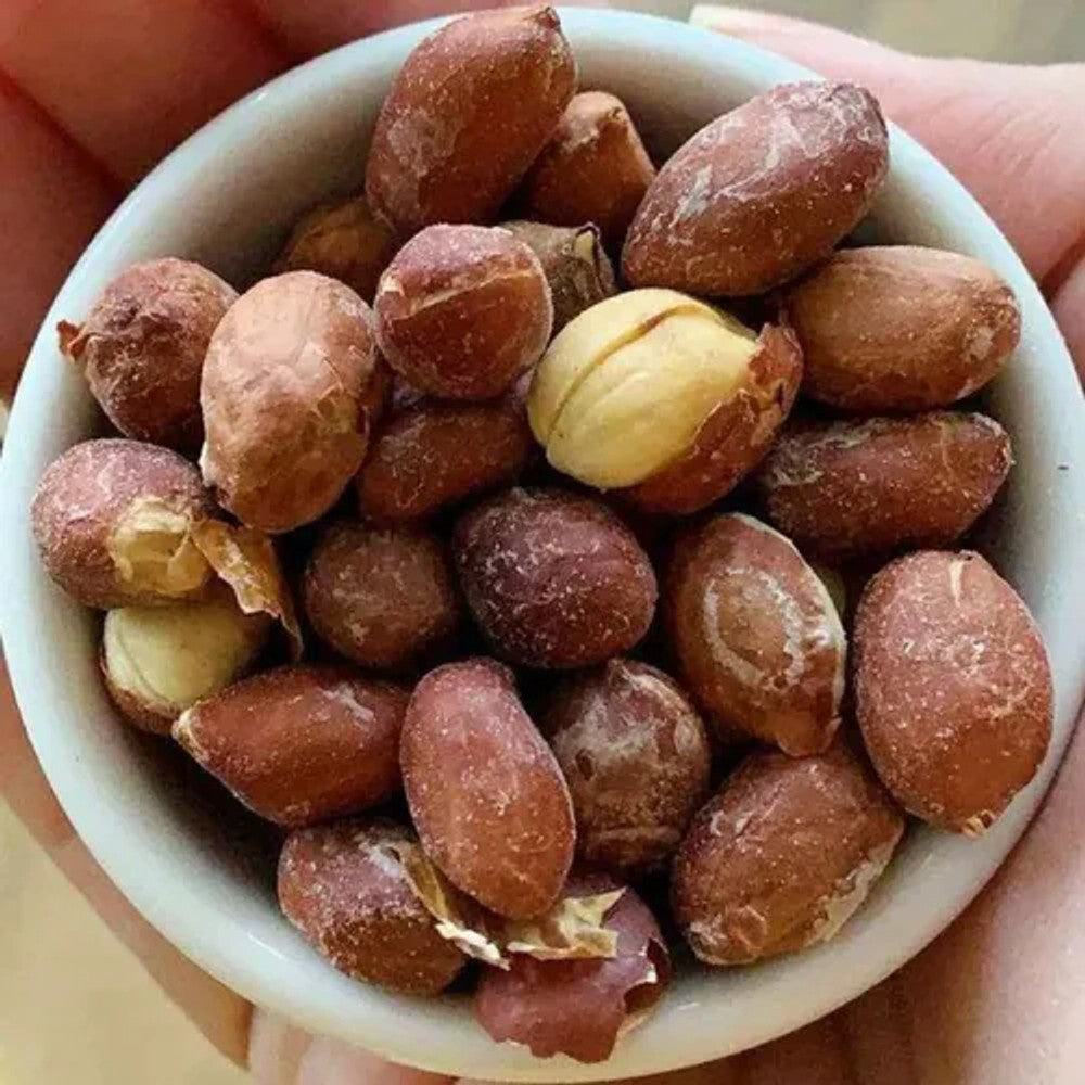 Amendoim Graúdo Torrado e Salgado Alibec 250g