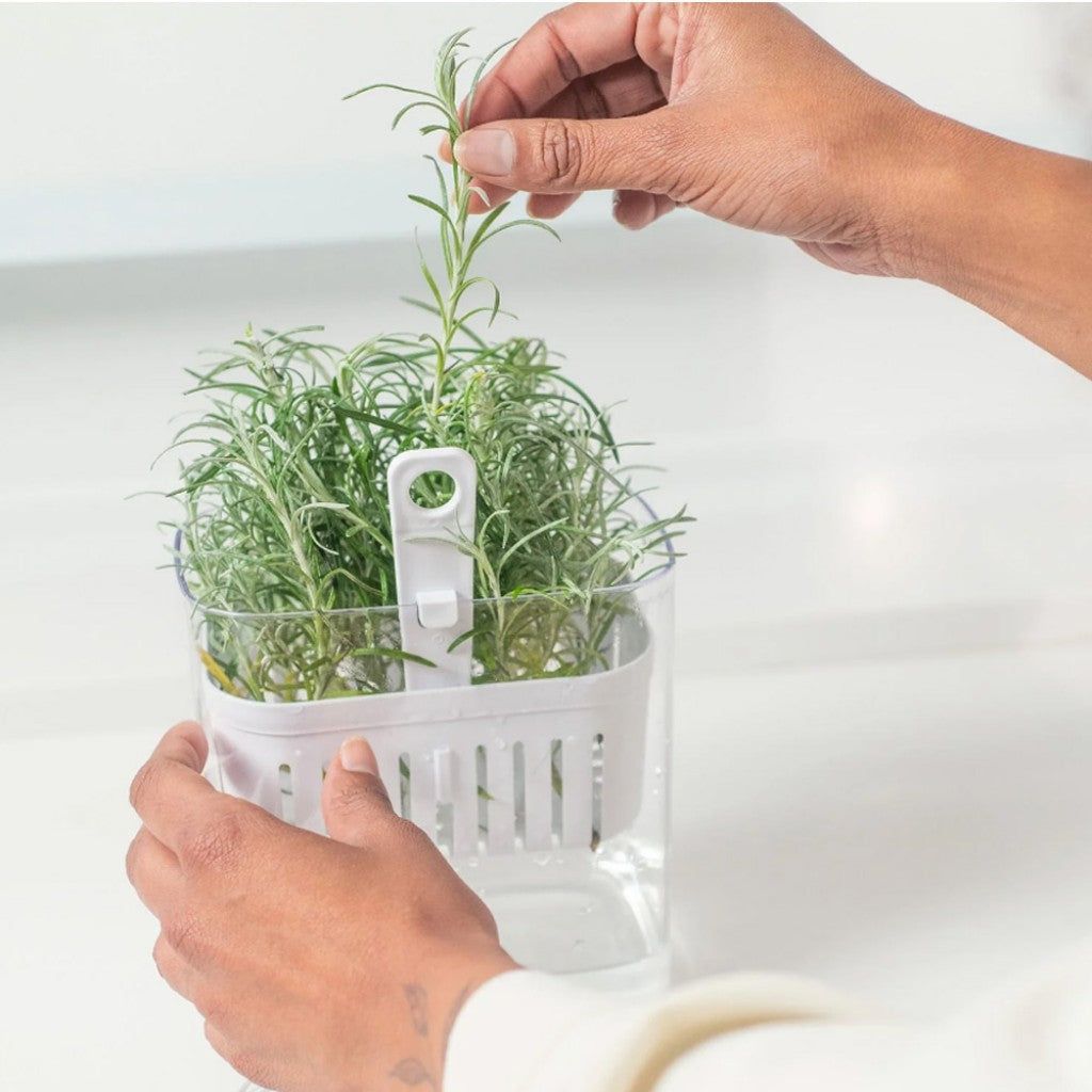 Organizador Clear Fresh 1,5L