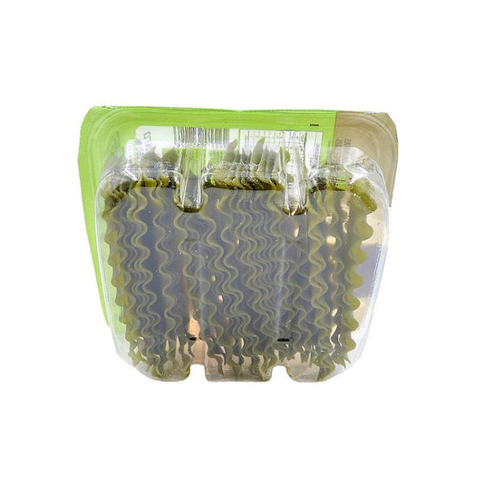 Massa Verde Para Lasanha Sem Gluten 300g