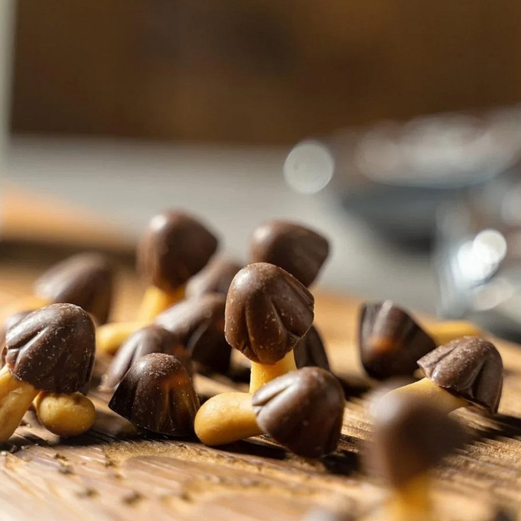 Biscoito Choco Boy Cogumelo Zangle 50g Orion