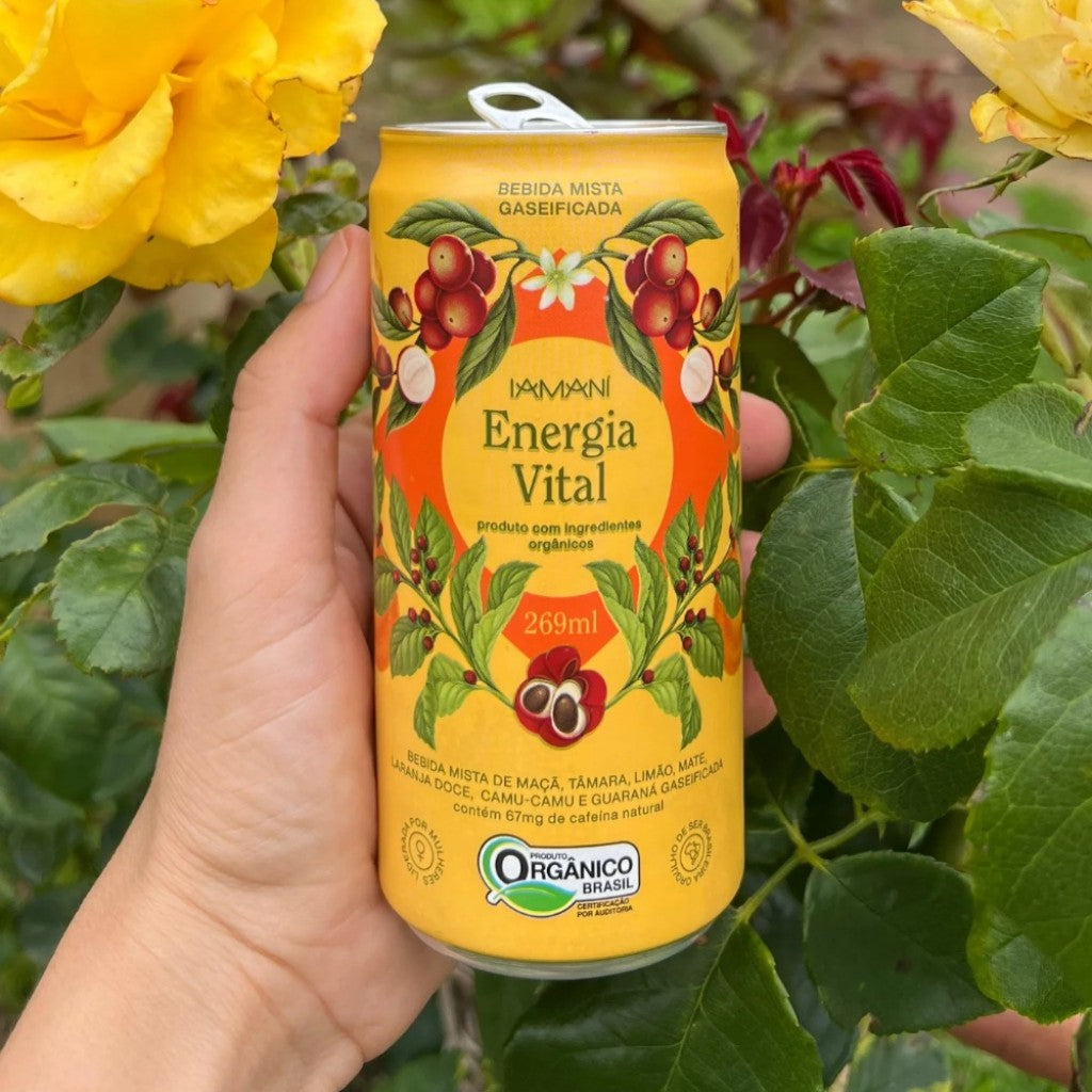 Chá Gelado Energia Vital 269ml Iamani