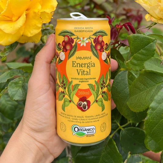 Chá Gelado Energia Vital 269ml Iamani