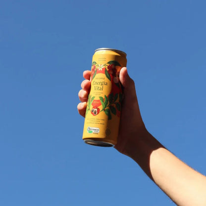 Chá Gelado Iamani Energia Vital Erva Mate Orgânica 269ml