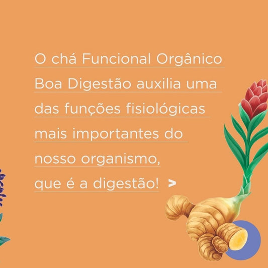 Chá Orgânico Boa Digestão 22g Iamaní