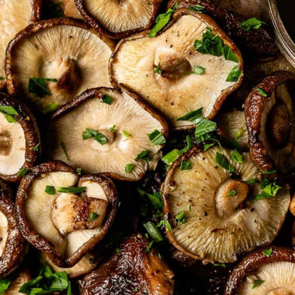 Cogumelo Desidratado Shiitake 100g Fujiyama