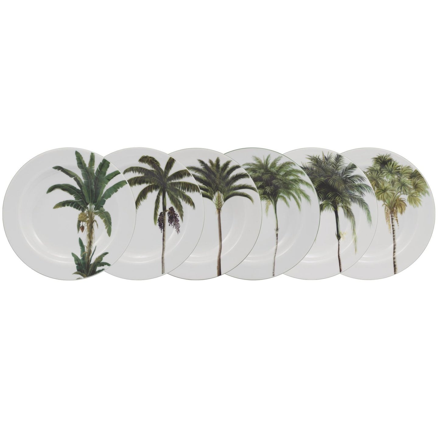 Conjunto de 6 Pratos Fundos de Porcelana Palmeira 22cm Schmidt