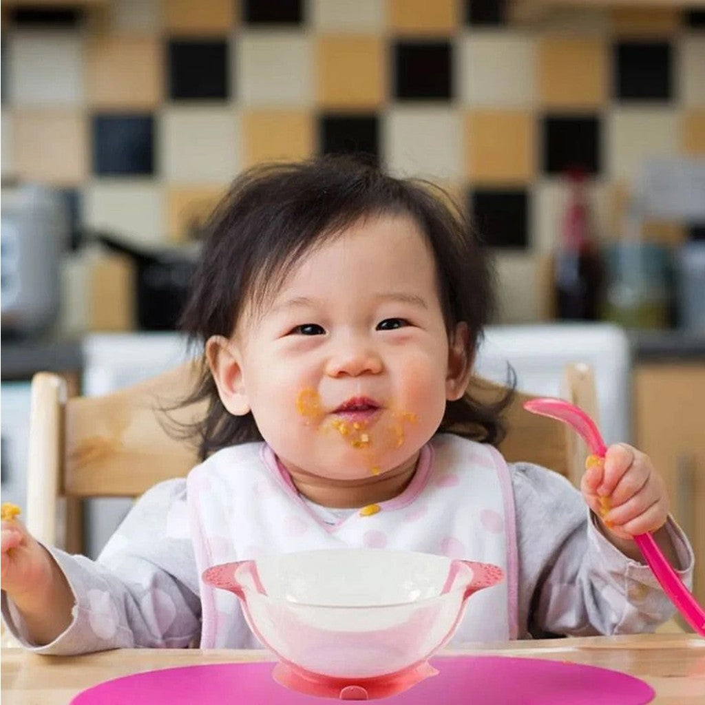 Porta-Papinha com Colher Rosa 350ml Western Baby