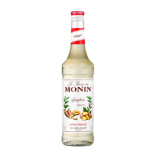 Xarope de Gengibre 250ml Monin